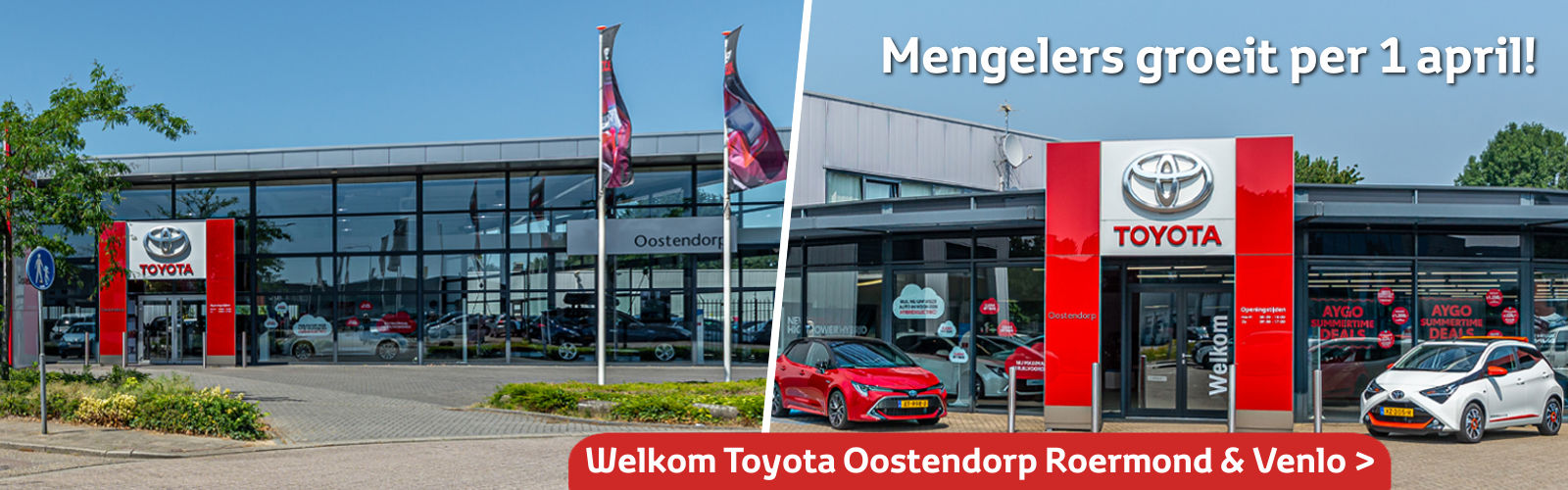 Toyota Mengelers Nieuwe auto's, occasions, onderhoud, reparatie